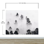 Foggy Forest Wallpaper Black and White Wall Mural. #6368