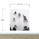 Foggy Forest Wallpaper Black and White Wall Mural. #6368