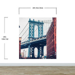 New York City Wall Mural Peel and Stick Wallpaper. Vintage Dumbo NYC. Brooklyn NY Landscape Wallpaper. #6369