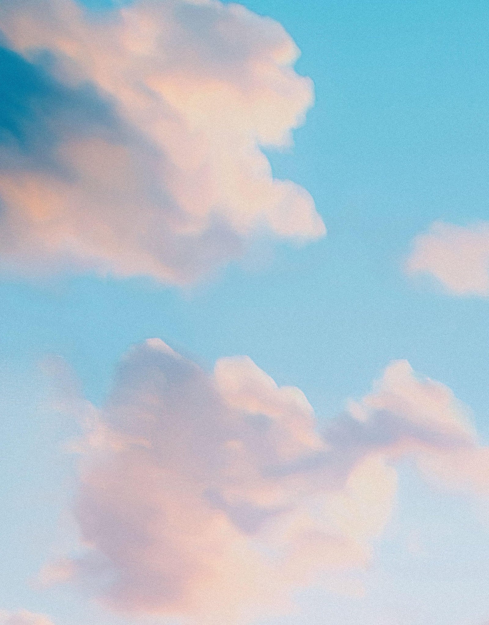 Pastel Color Sunset over Paradise Beach Wall Mural. Pastel Pink and Blue Color Scheme Peel and Stick Wallpaper. #6404