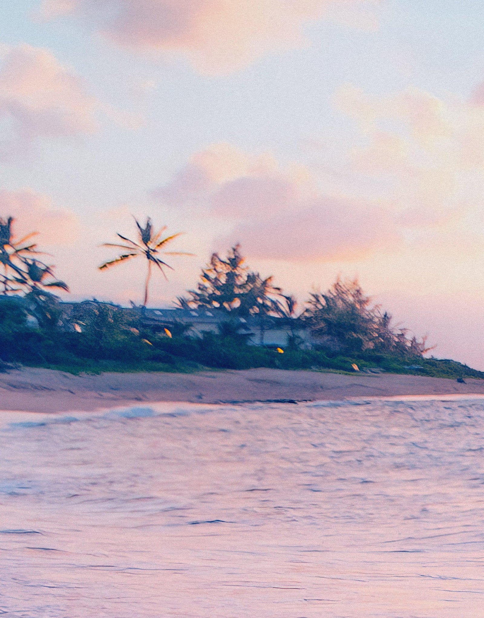 Pastel Color Sunset over Paradise Beach Wall Mural. Pastel Pink and Blue Color Scheme Peel and Stick Wallpaper. #6404