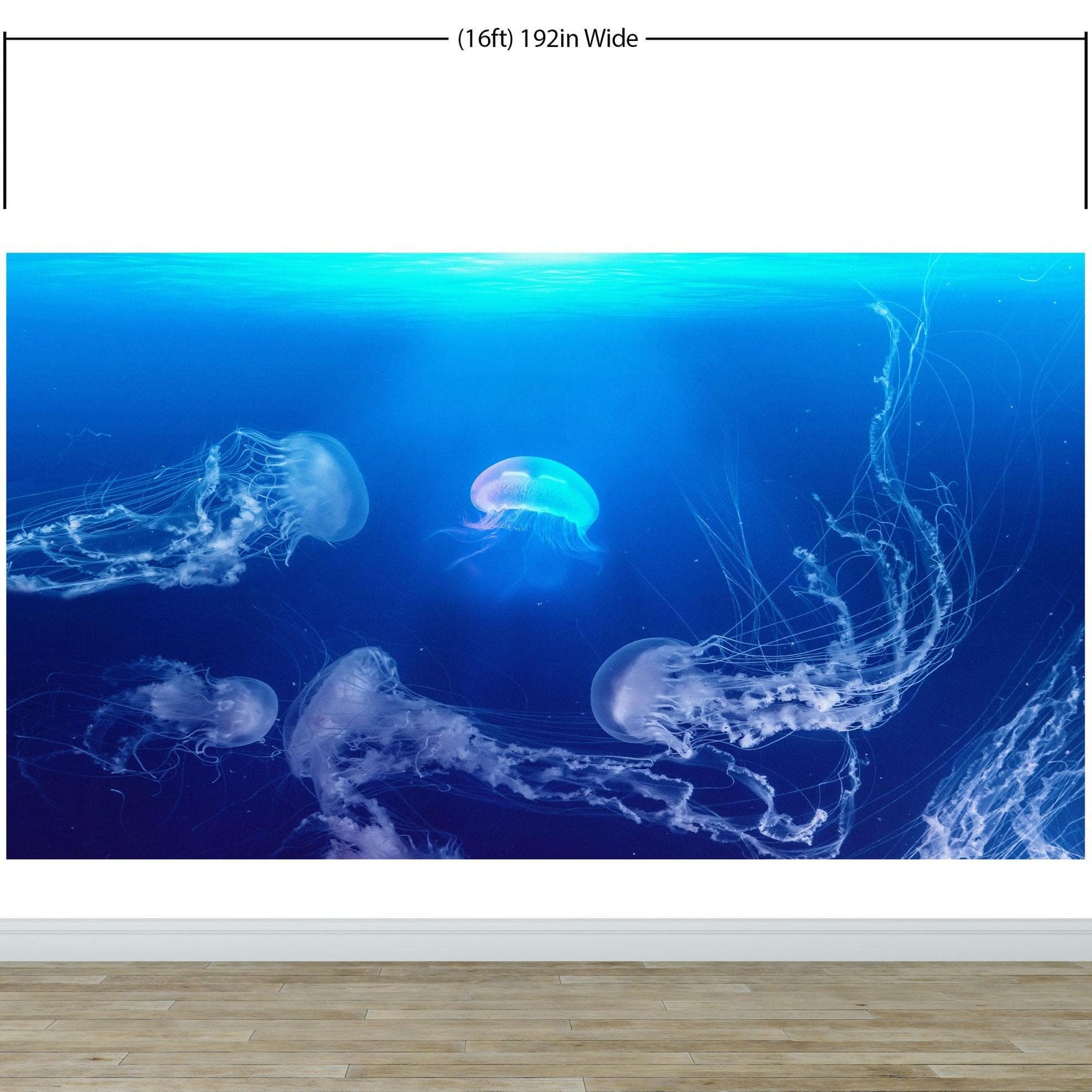 Jellyfish Floating Underwater Wall Mural. Deep Blue Ocean Peel and Stick Wallpaper. #6405