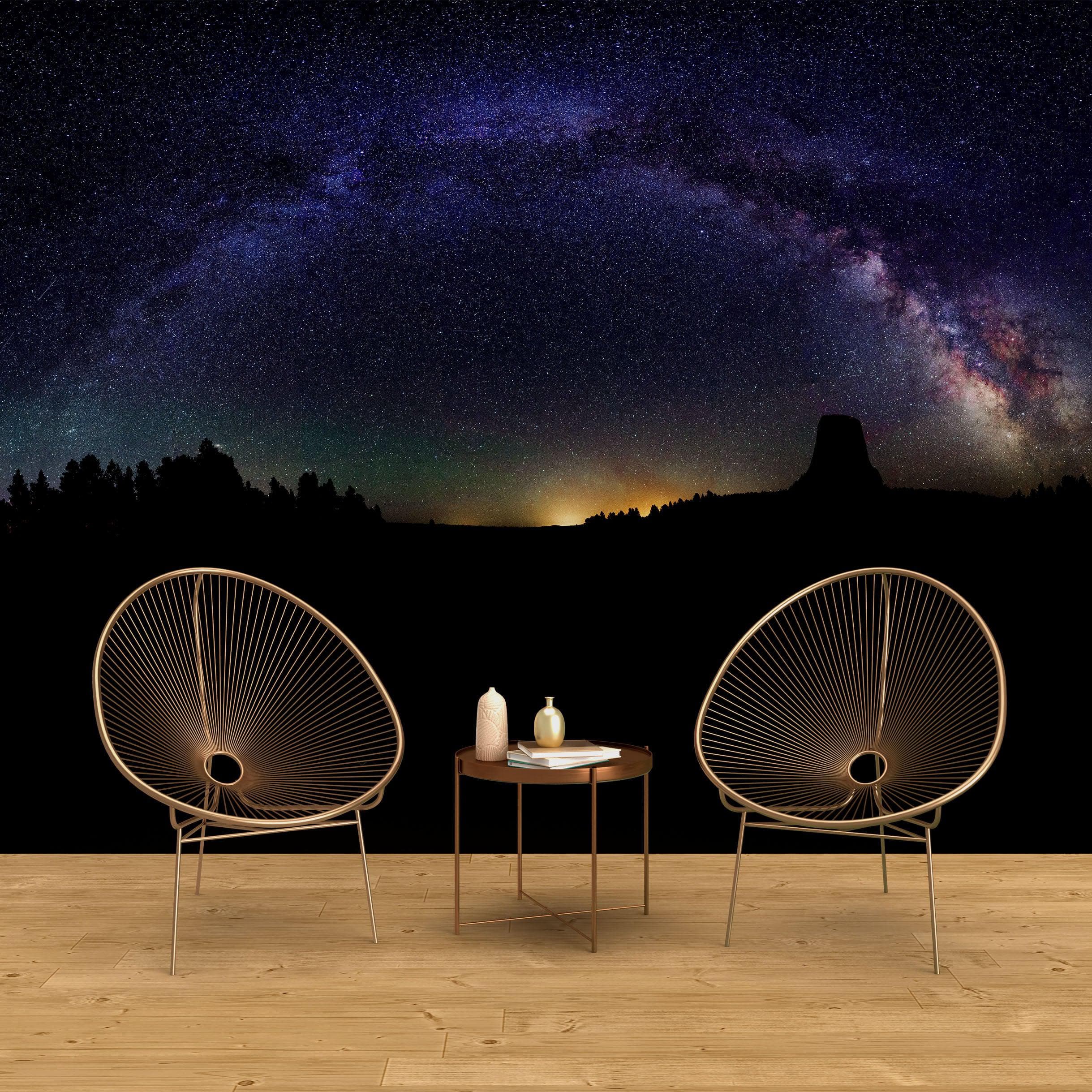 Milky Way Galaxy Stars Wall Mural. Starry Night Over Devils Tower National Monument Park. #6416