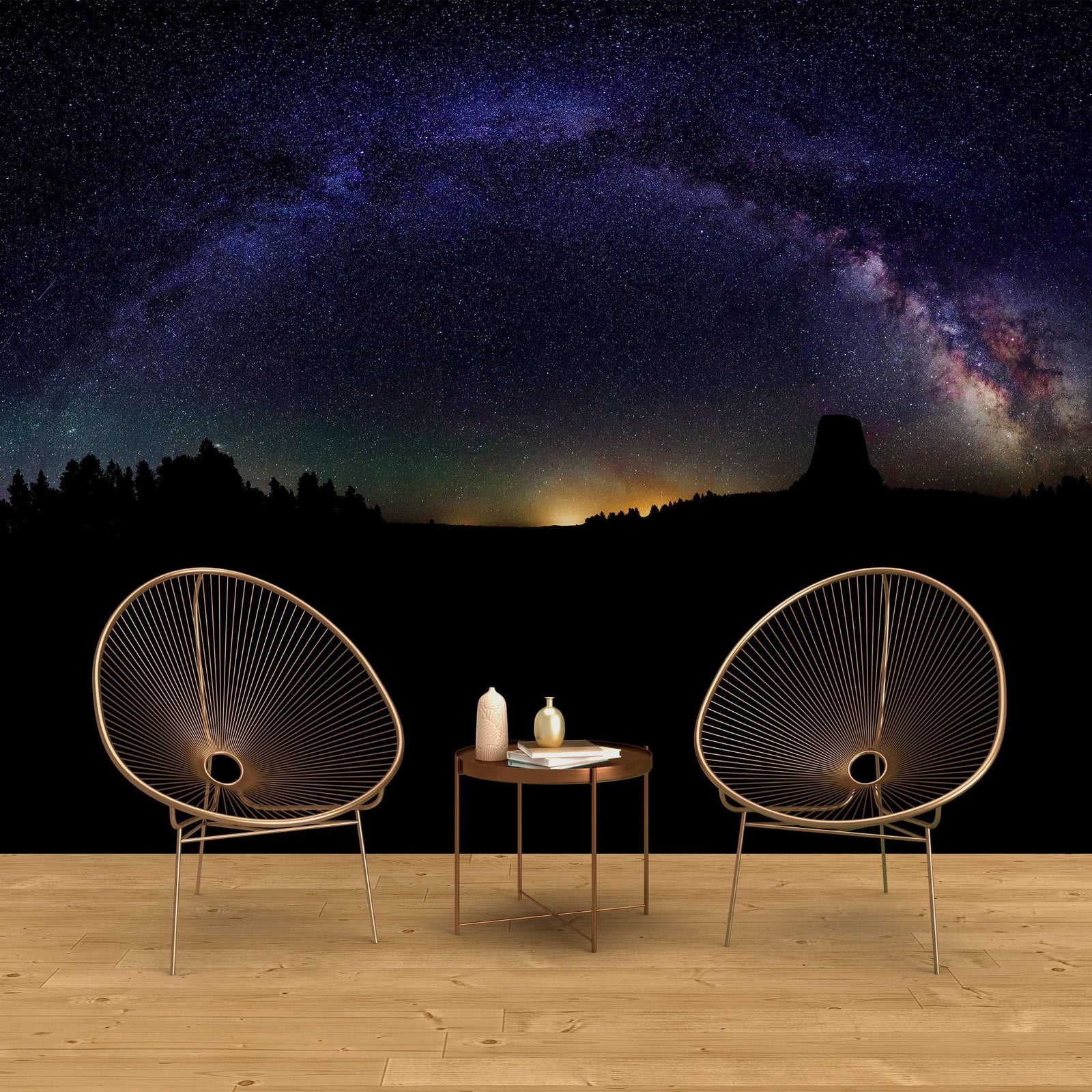 Milky Way Galaxy Stars Wall Mural. Starry Night Over Devils Tower National Monument Park. #6416