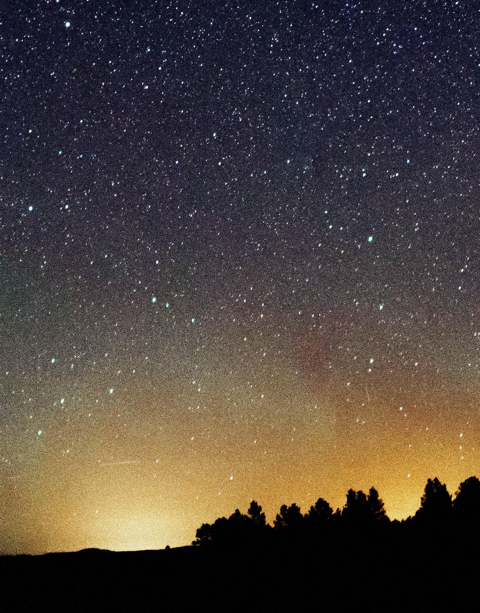 Milky Way Galaxy Stars Wall Mural. Starry Night Over Devils Tower National Monument Park. #6416