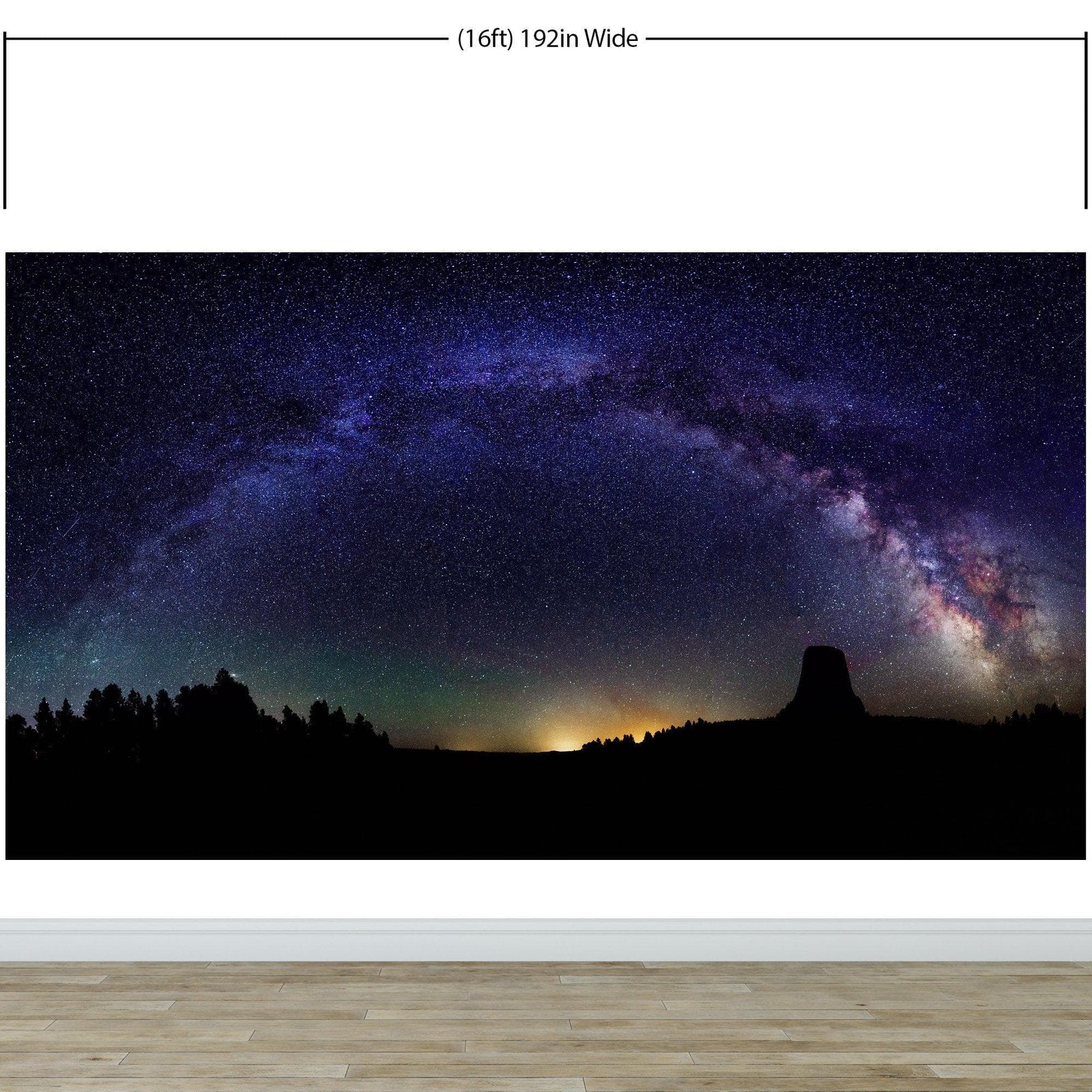 Milky Way Galaxy Stars Wall Mural. Starry Night Over Devils Tower National Monument Park. #6416