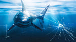Great White Shark Attack Aquarium Glass Wall Mural. Peel and Stick Wallpaper. #6424