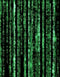 Computer Matrix Style Lines of Code Wall Mural. Science Fiction Decor. #6430