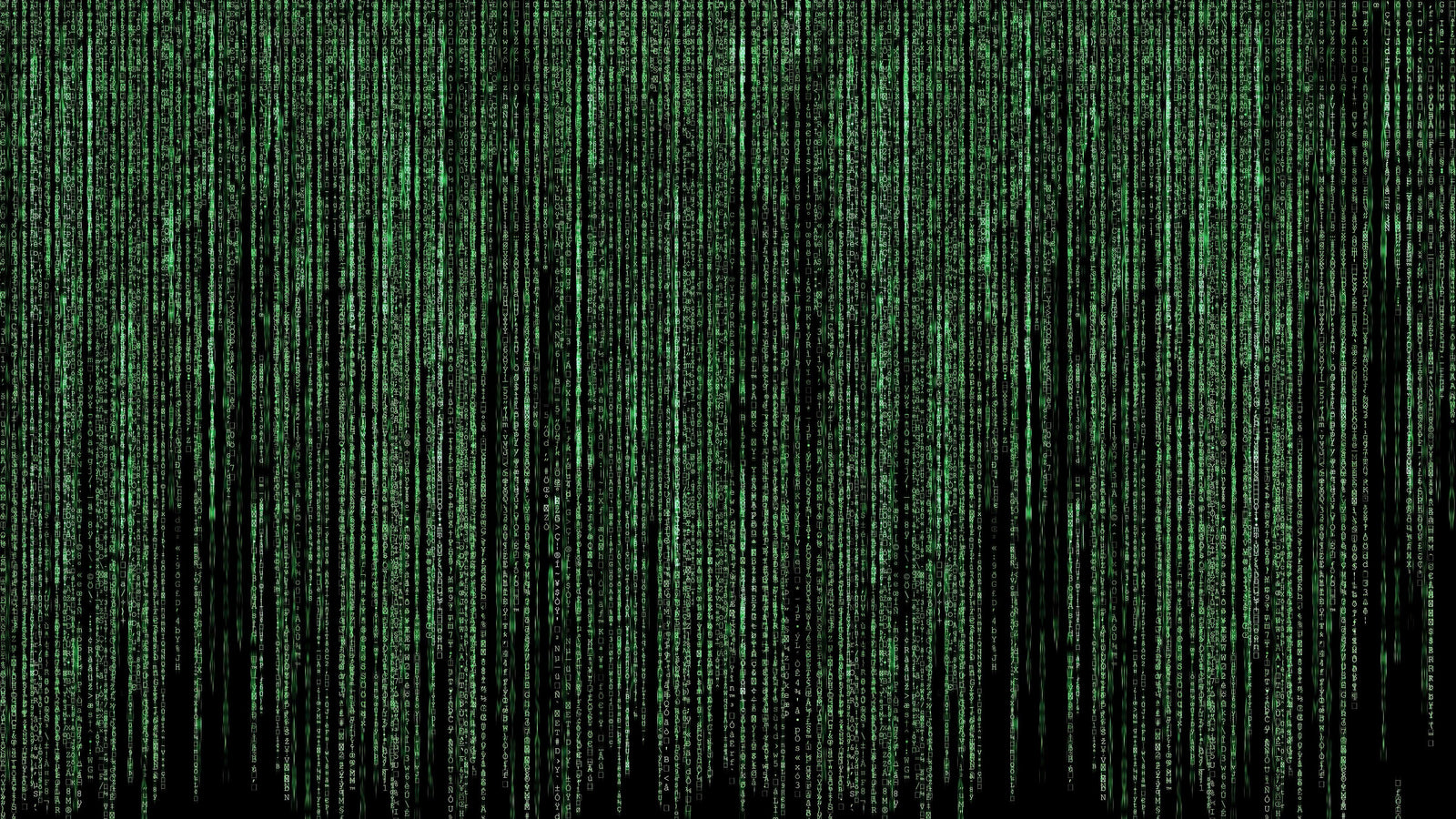 Computer Matrix Style Lines of Code Wall Mural. Science Fiction Decor. #6430