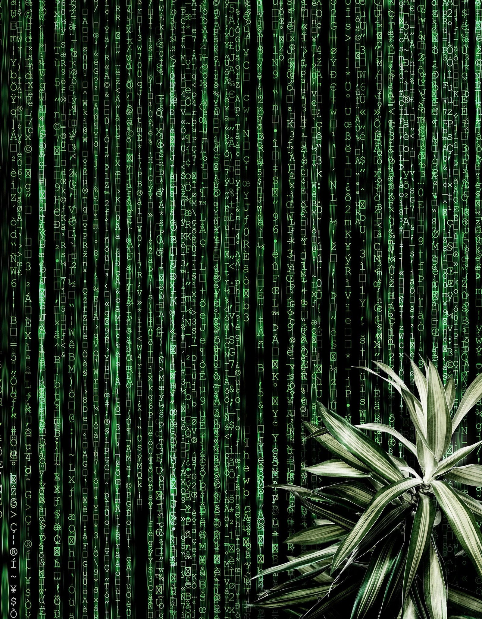 Computer Matrix Style Lines of Code Wall Mural. Science Fiction Decor. #6430