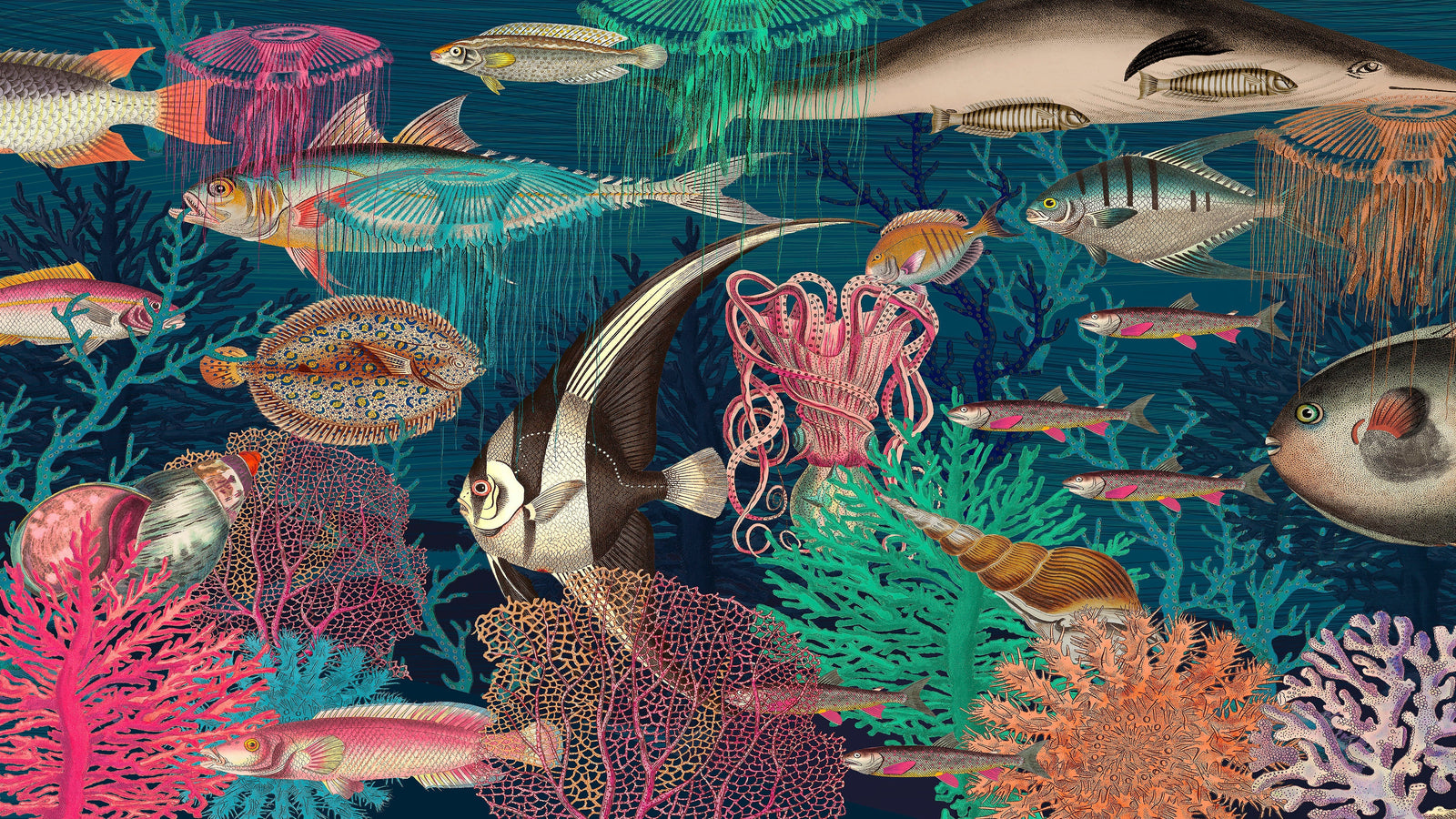 Vintage Retro Underwater Marine Sea Life Wall Mural. Beach / Nautical / Marine Life Theme Peel and Stick Wallpaper. #6442