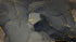 Abstract Black and Gold Agate Marble Stone Pattern Wall Mural. Removable Peel and Stick Wallpaper. #6454
