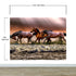 Wild Horses Galloping on Beach Wall Mural. Peel and Stick Wallpaper. #6458