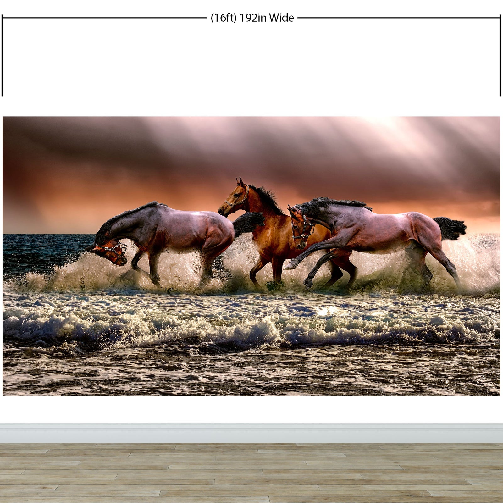 Wild Horses Galloping on Beach Wall Mural. Peel and Stick Wallpaper. #6458
