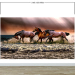 Wild Horses Galloping on Beach Wall Mural. Peel and Stick Wallpaper. #6458