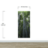 Tall Bamboo Tree Forest Wall Mural. Peaceful, Serenity, Zen Background Wallpaper. #6463