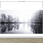Foggy Woodland Wall Mural. Warm Grey Misty Forest Lakeview Peel and Stick Wallpaper. #6474