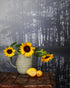 Foggy Woodland Wall Mural. Warm Grey Misty Forest Lakeview Peel and Stick Wallpaper. #6474