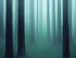 Foggy Forest Wall Mural. Emerald Green Mist Wallpaper. #6476