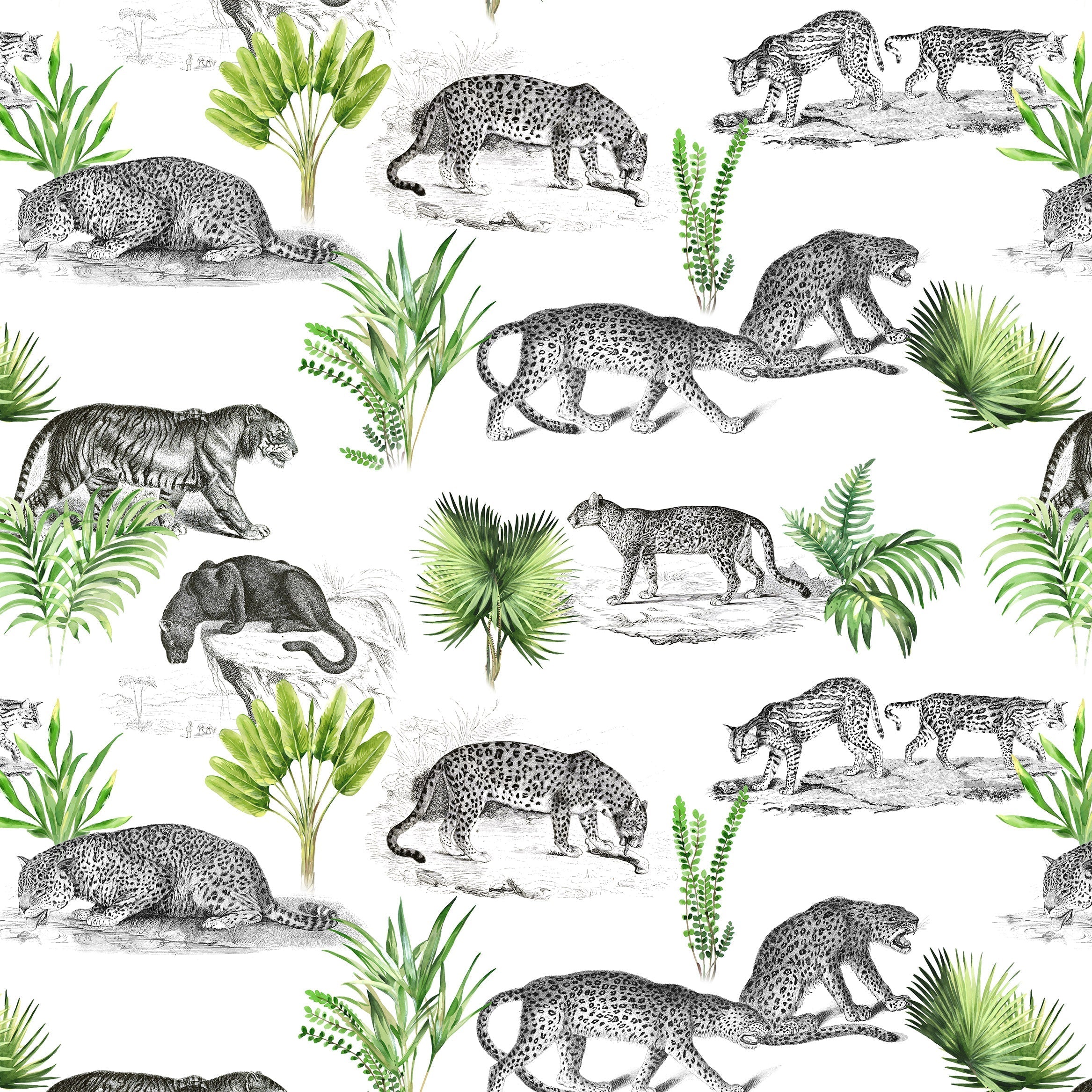 Tiger and Leopard Wallpaper Pattern. Safari Animal Print Wall Mural. #6478