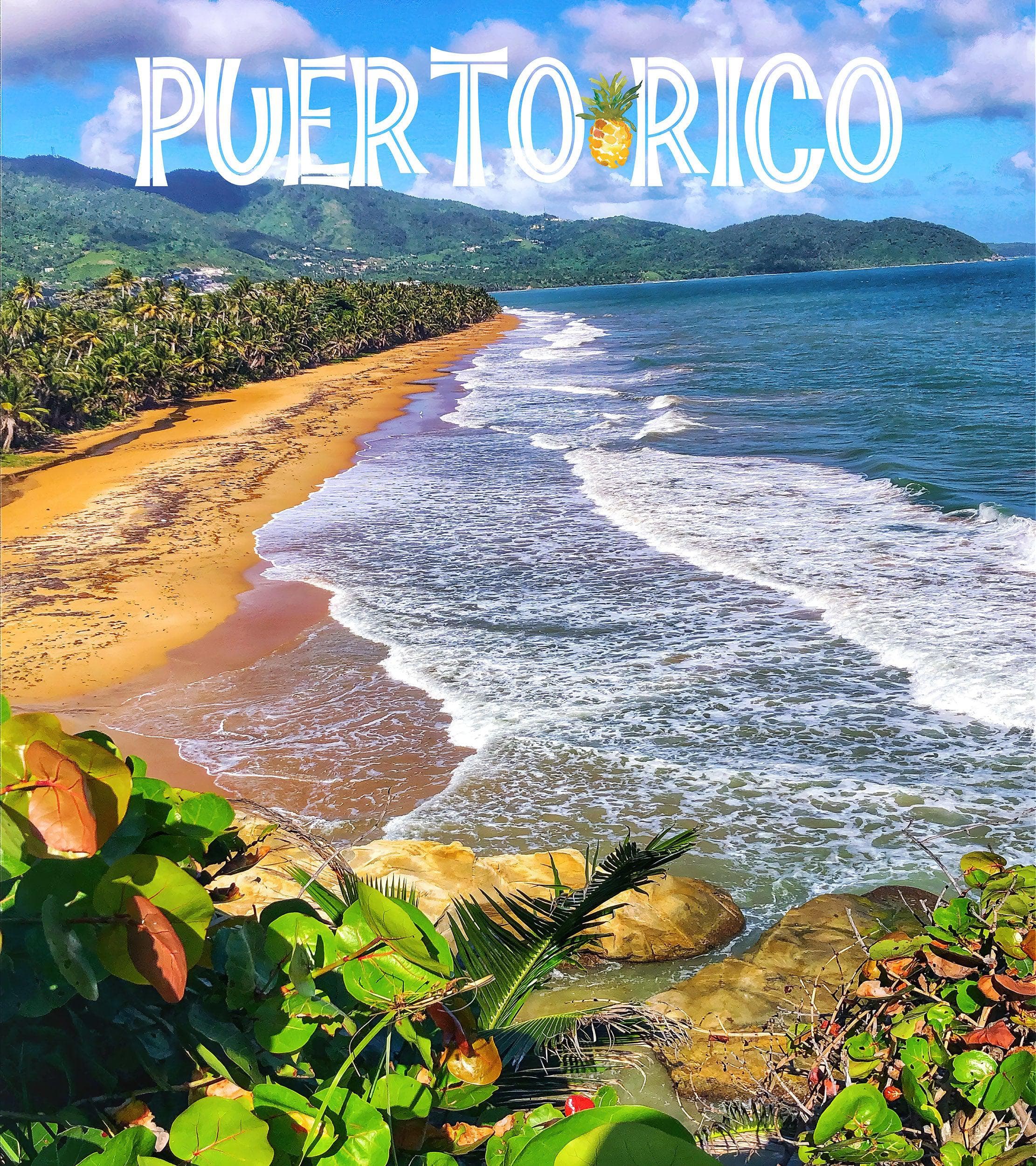 Puerto Rico Beach Wallpaper. Peel and Stick Wall Mural. #6481