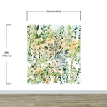 Eucalyptus Wallpaper in Pastel Color Watercolor. #6483