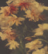 Vintage Dark Background with Yellow Flowers Botanical Wallpaper. #6497