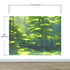 Evergreen Forest Wall Mural. Peel and Stick Wallpaper. #6502