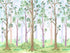 Colorful Nursery Woodland Forest Wallpaper. Watercolor Birch Tree Forest Wall Mural. #6527
