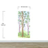 Colorful Nursery Woodland Forest Wallpaper. Watercolor Birch Tree Forest Wall Mural. #6527
