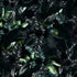 Tropical Leaves In a Dark Jungle Background Wallpaper #6536
