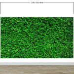 Greenery Grass Background Wallpaper Mural. #6551