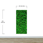 Greenery Grass Background Wallpaper Mural. #6551
