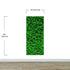 Greenery Grass Background Wallpaper Mural. #6551