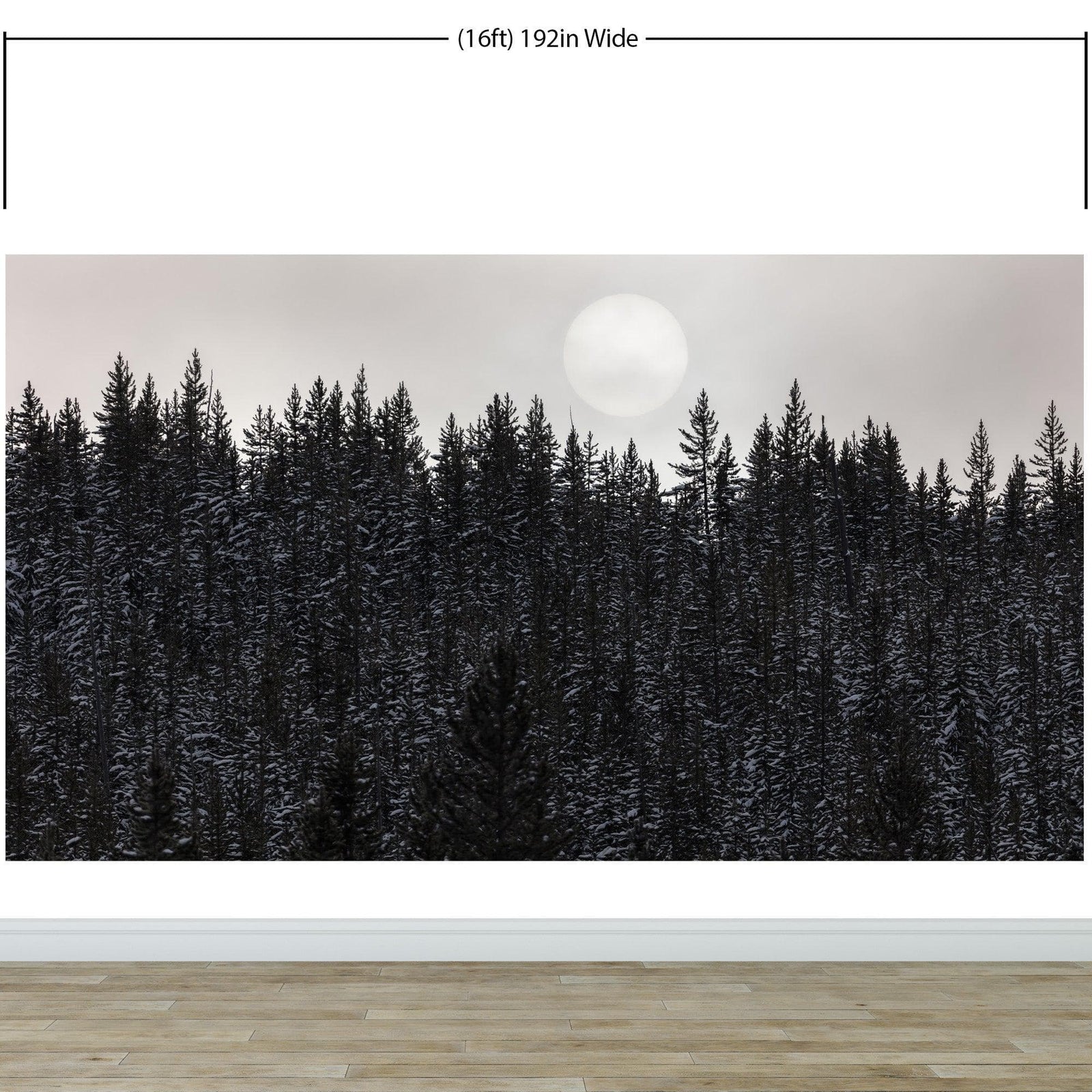Foggy Forest Wall Mural. Peel and Stick Wallpaper. Monotone Grey Nature Wallpaper. Rain Forest Wall Mural. #6560