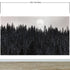 Foggy Forest Wall Mural. Peel and Stick Wallpaper. Monotone Grey Nature Wallpaper. Rain Forest Wall Mural. #6560
