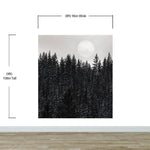 Foggy Forest Wall Mural. Peel and Stick Wallpaper. Monotone Grey Nature Wallpaper. Rain Forest Wall Mural. #6560