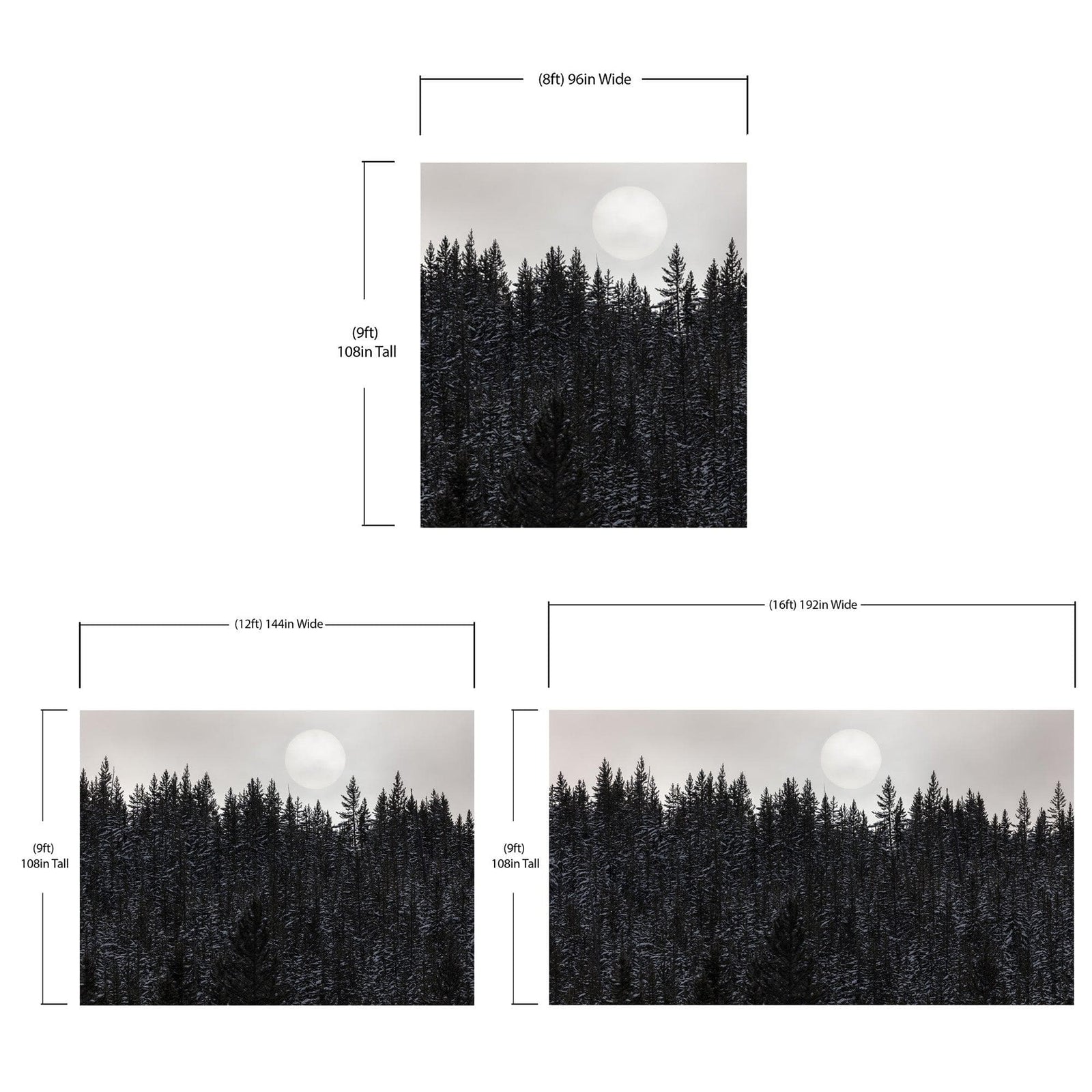 Foggy Forest Wall Mural. Peel and Stick Wallpaper. Monotone Grey Nature Wallpaper. Rain Forest Wall Mural. #6560