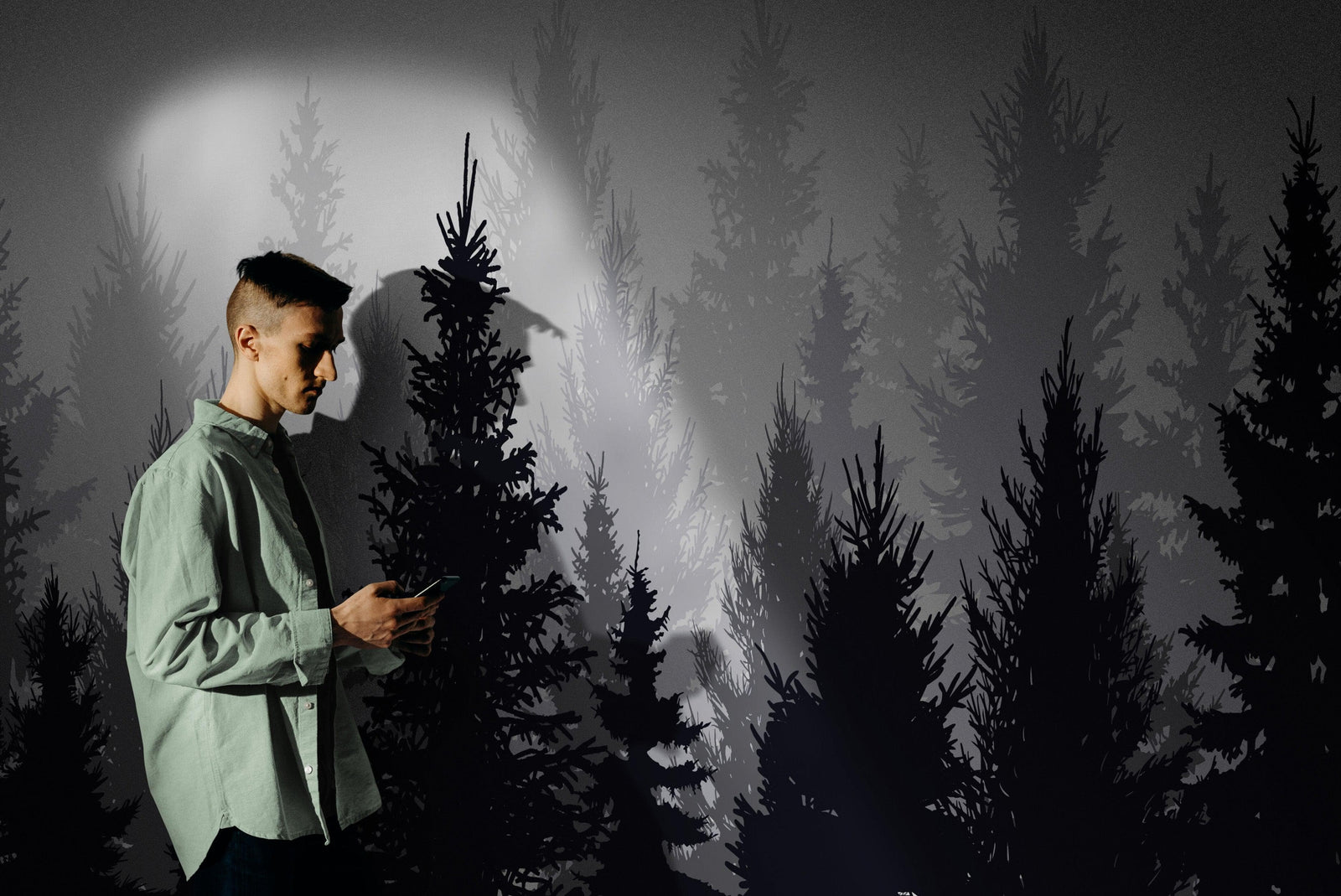 Black and White Pine Tree Forest Wallpaper. #6594