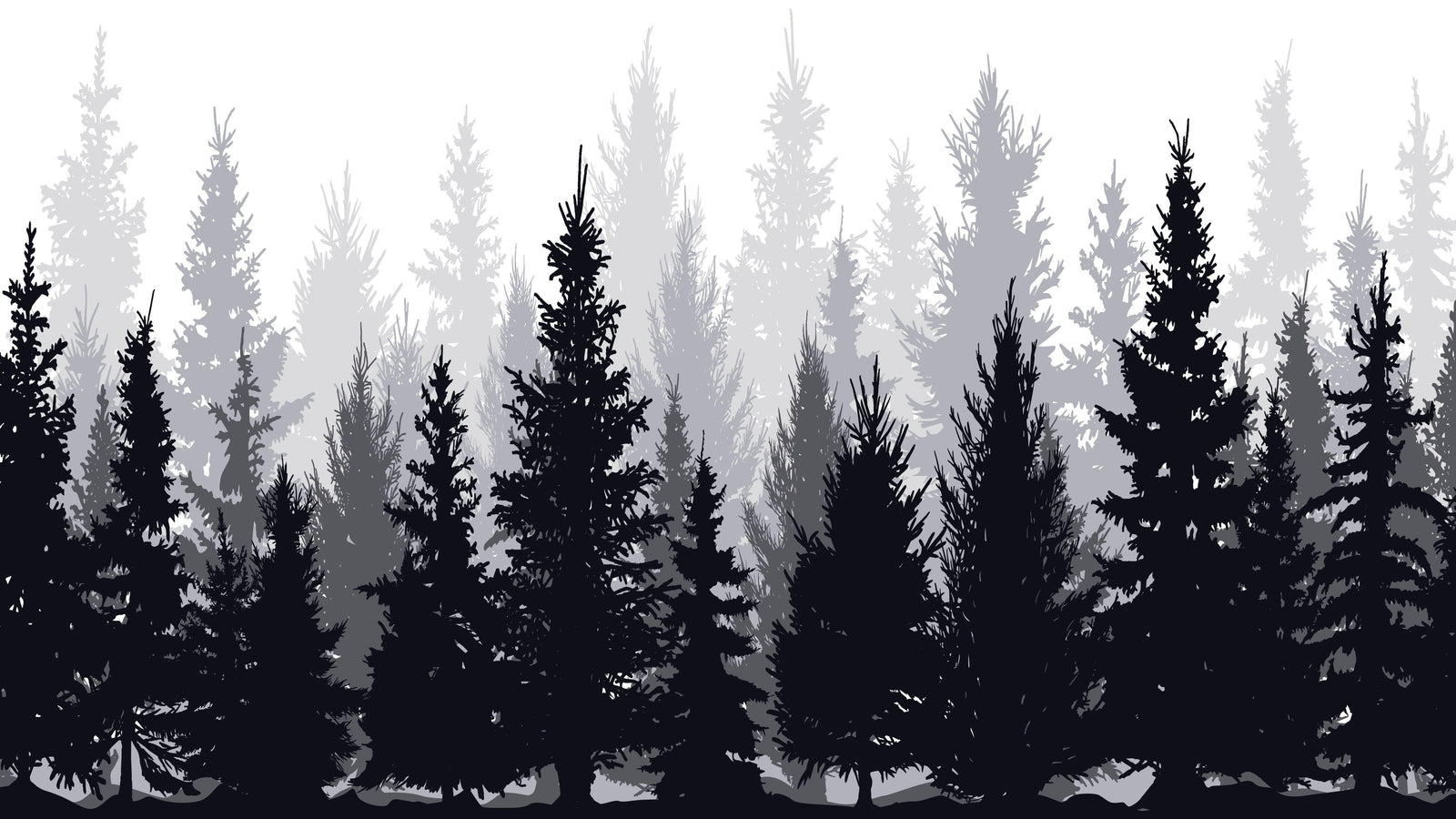 Black and White Pine Tree Forest Wallpaper. #6594
