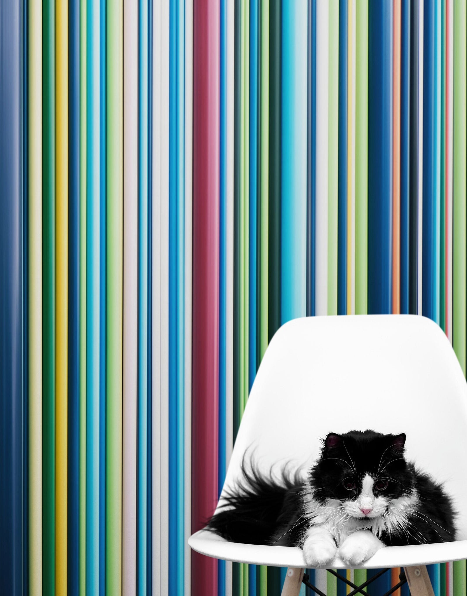 Vertical Line Color Stripes Wallpaper. Bright Rainbow Color Lines Wall Mural. #6597