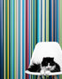 Vertical Line Color Stripes Wallpaper. Bright Rainbow Color Lines Wall Mural. #6597