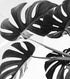 Elegant Black and White Leaves Wallpaper Mural - Serene Botanical Beauty #6606