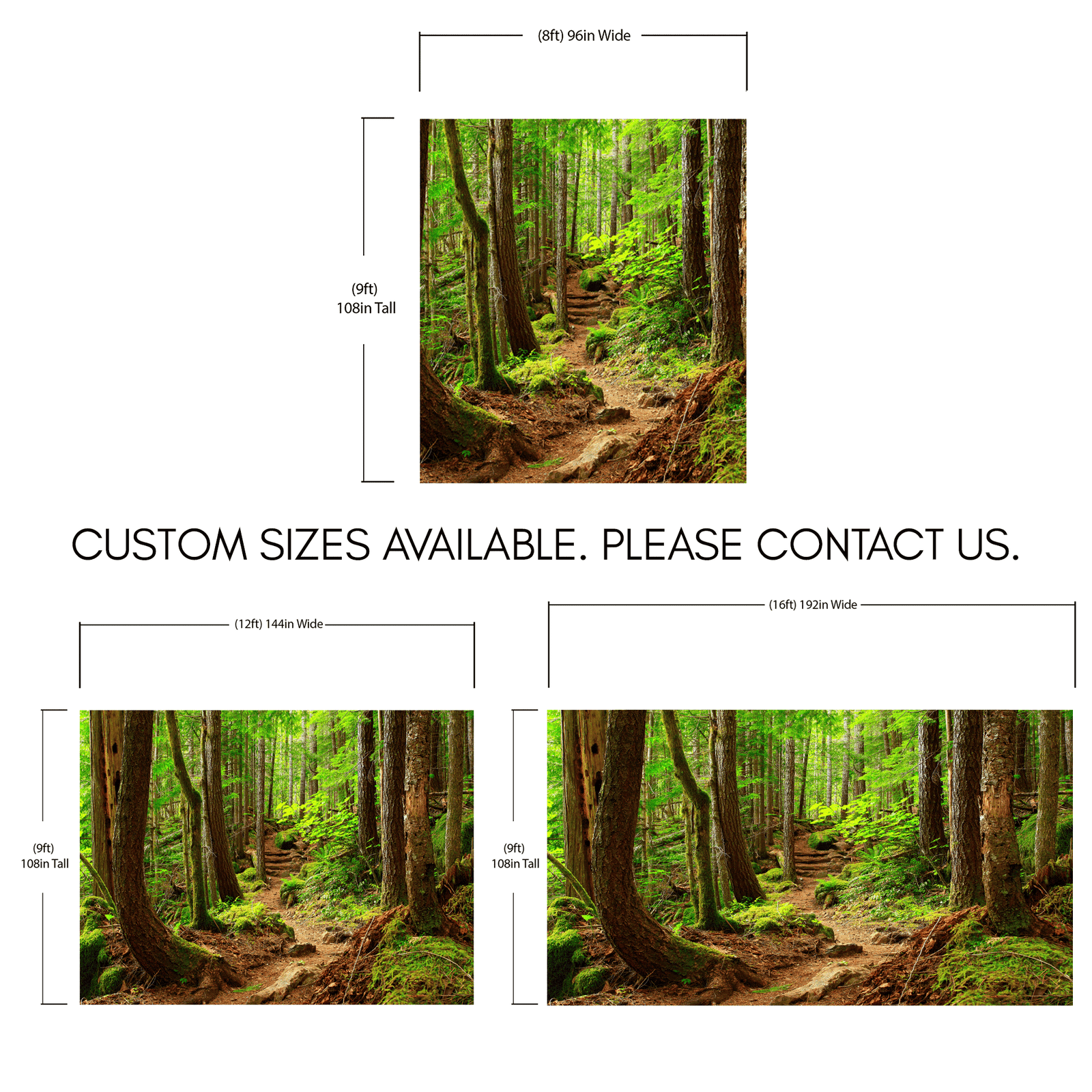 Green Forest Woodland Wall Mural – Nature's Embrace Peel and Stick Wallpaper #6647