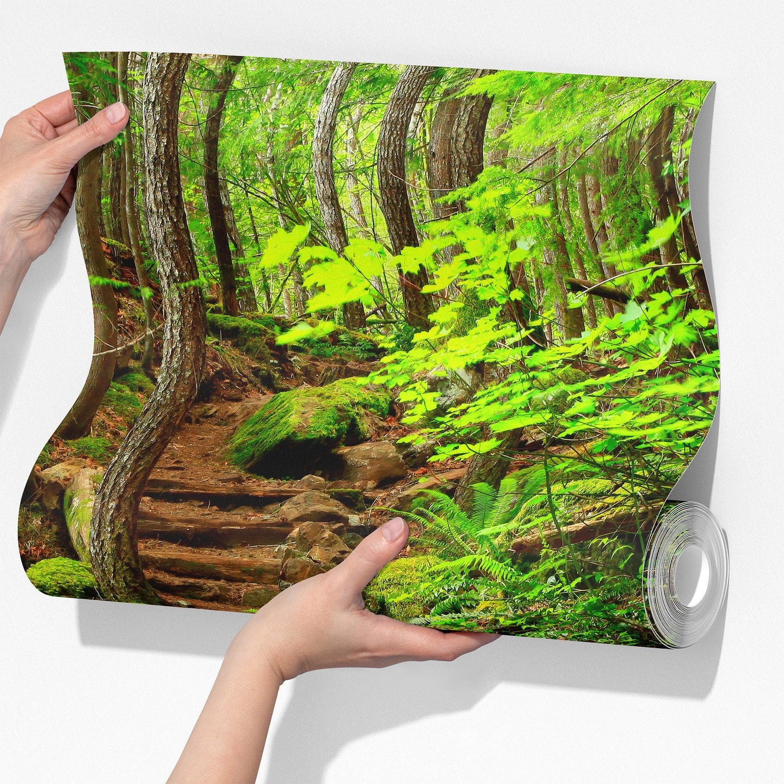 Green Forest Woodland Wall Mural – Nature's Embrace Peel and Stick Wallpaper #6647