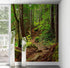 Green Forest Woodland Wall Mural – Nature's Embrace Peel and Stick Wallpaper #6647