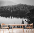 Black and White Mountain Over Looking Lake and Forest Wallpaper. #6671