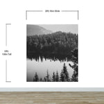 Black and White Mountain Over Looking Lake and Forest Wallpaper. #6671