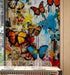 Butterflies Graffiti Style Wallpaper Mural. #6828