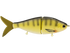 Viper 8"